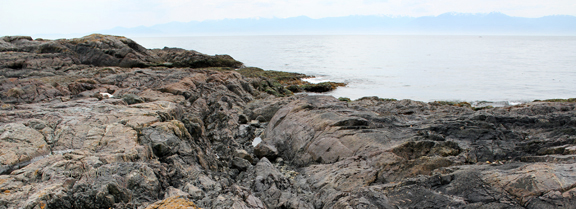 ocean and rocks